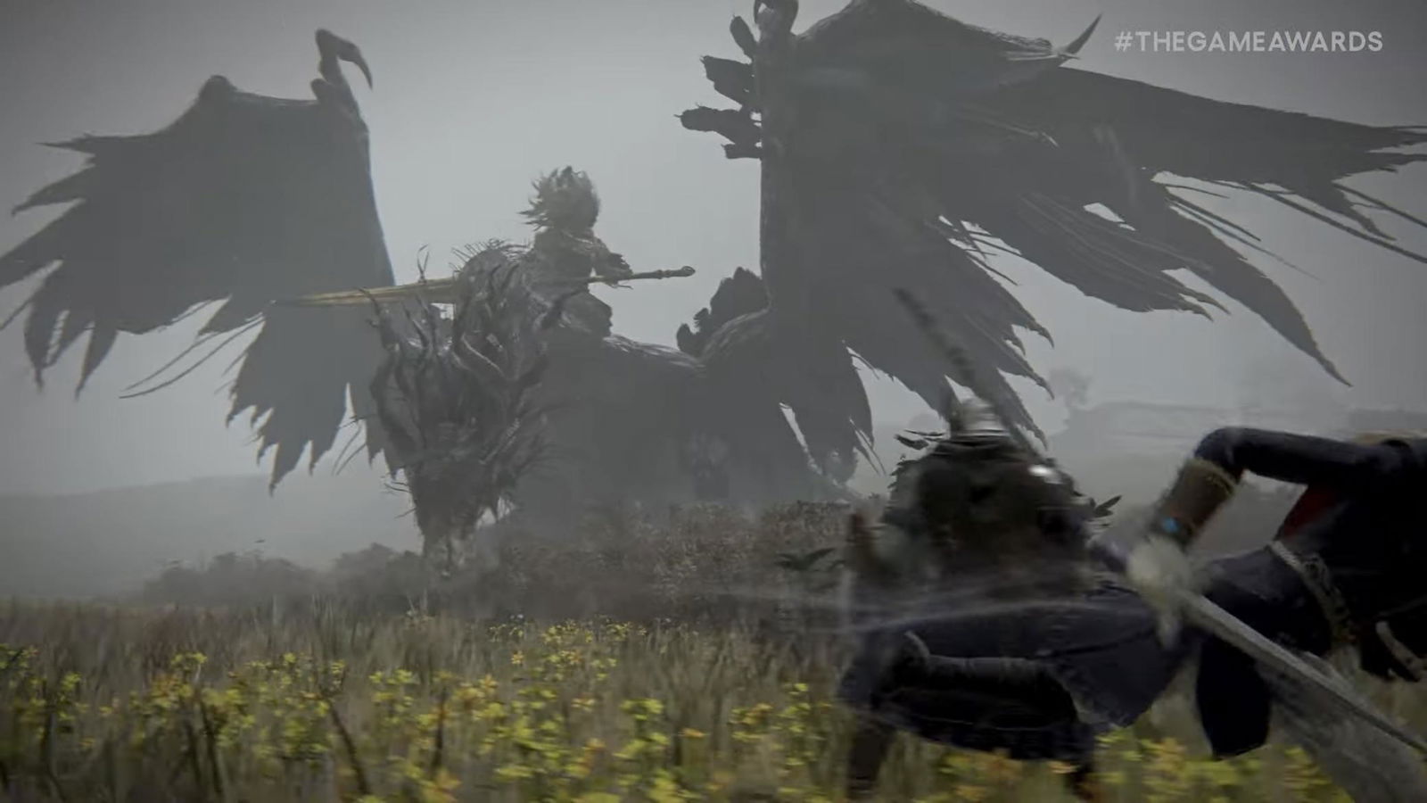 Il Re Senza Nome di Dark Souls potrebbe ora avere un nome